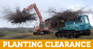 winters_woodchip_planting_clearance_5